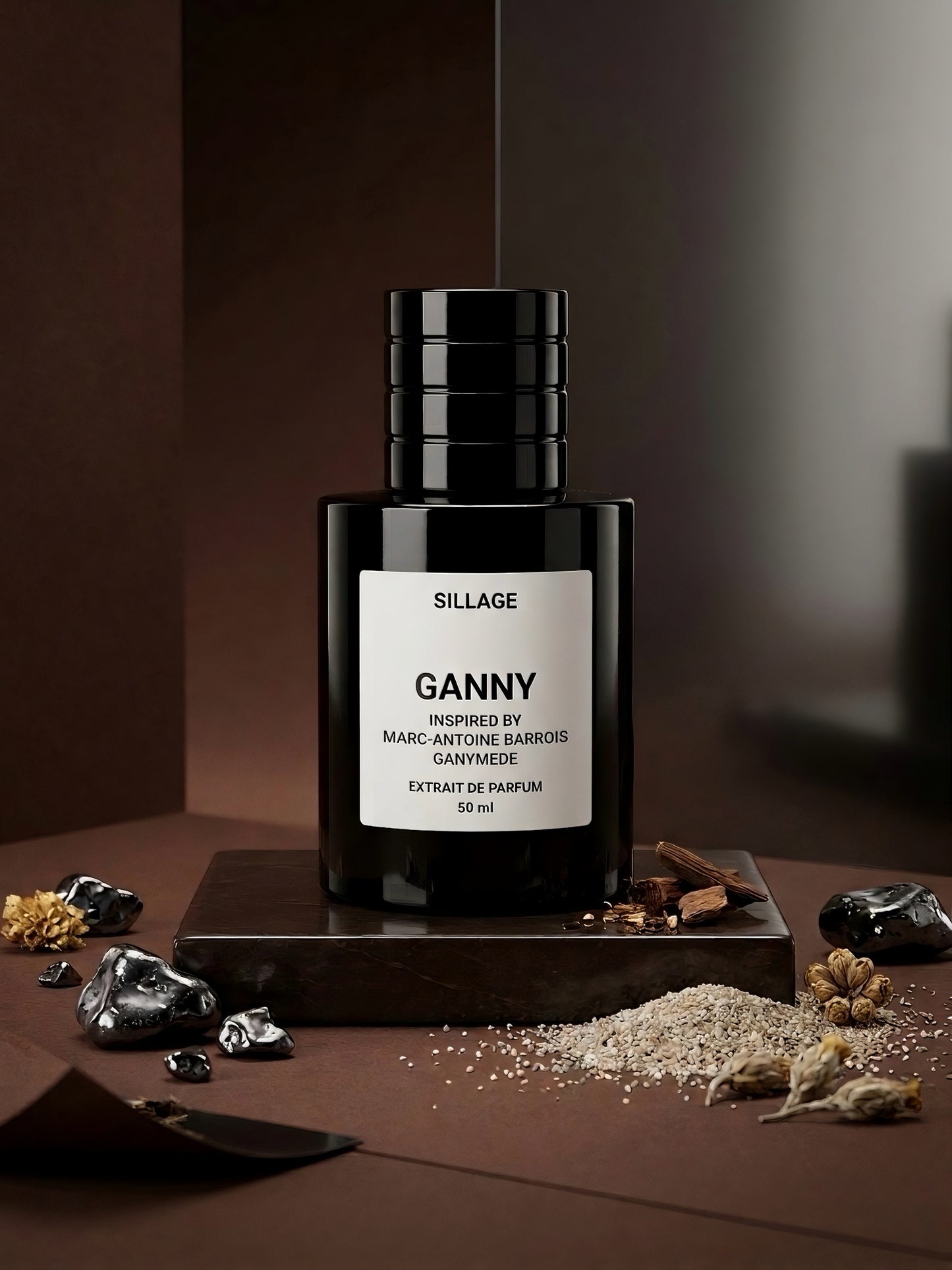 GANYMEDE